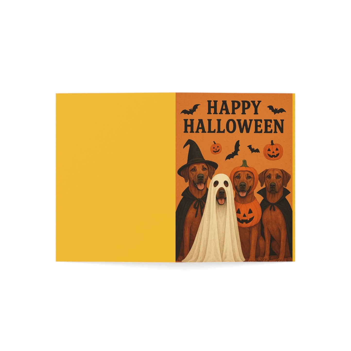 Greeting Cards (1, 10, 30, and 50pcs)