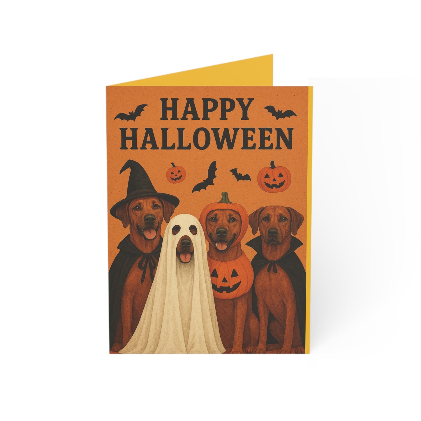 Greeting Cards (1, 10, 30, and 50pcs)